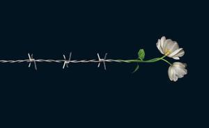 特寫｜英作家發(fā)現(xiàn)祖父是納粹并追溯家族歷史，揭“平庸之惡”