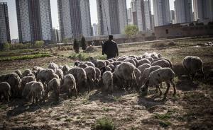 “利用集體建設用地建租賃住宅”試點將帶來什么