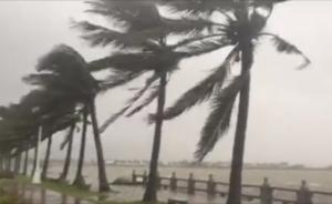 台风“帕卡”登陆广东,路径与天鸽相似