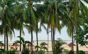 明察｜6人編造海南限制入島放開博彩業(yè)等涉房地產(chǎn)謠言被查處