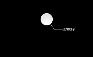 訪“天使粒子”發(fā)現(xiàn)團(tuán)隊(duì)：花30年積累