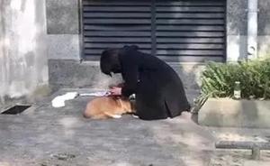 “摔狗者”何興麗：和老公被迫離婚，仍是個“桀驁不馴的人”