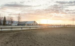 农村土地如何“三权分置”？确权是第一步，不能让违法者获益