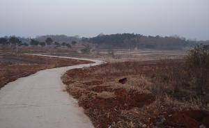 在鄉村客車上②｜鎮上引入大工程：從興奮到務實的輿論場