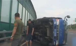 蜜蜂蜇副駕駛致尖叫，司機分神后翻車