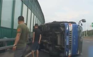 蜜蜂蜇副駕駛致尖叫，司機(jī)分神后翻車