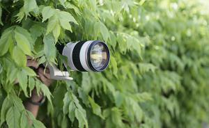 人民網(wǎng)：對利用炒作明星緋聞的牟利行為，相關(guān)部門要加大打擊