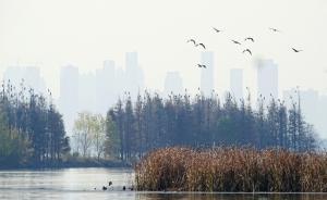 湖北所有河流湖泊將設(shè)警長(zhǎng)：省級(jí)河湖總警長(zhǎng)由省公安廳長(zhǎng)擔(dān)任