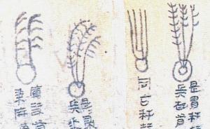 天有異象：既是吉兆，也可能帶來(lái)災(zāi)禍