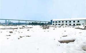 江苏禁养区内的养猪场为啥关不了？部门间推诿扯皮被通报