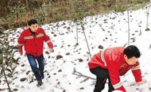 重慶雪山守林人：37年就干兩件事，不讓人砍樹、不讓人燒林