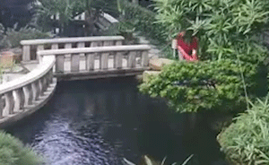 保姆別墅溺亡續(xù)：魚池深兩米系戶主自挖