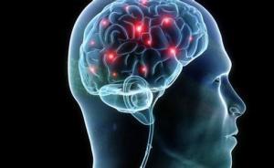 自然子刊：朋友間感知外界方式相似，用腦電波來找朋友