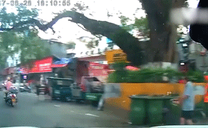 幼儿园门前大树树枝断裂，砸中多名行人