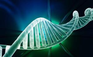 基因表达模式或可精准确定死者死亡时间，将影响法医鉴定