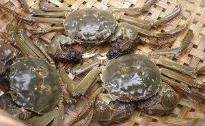 兩名在日華人因無證銷售大閘蟹被日本警方送檢