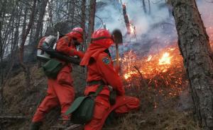 耗時(shí)三天！雅江八角樓森林火災(zāi)全撲滅