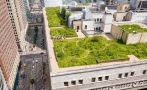 100城市方案⑤｜金融與經(jīng)濟(jì)：從融資到政府采購