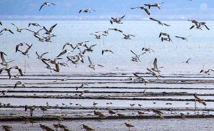 國家海洋局：歷經(jīng)5年完成沿海11省份警戒潮位核定工作