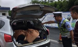 全家自驾出游坐不下,老婆孩子塞后备箱