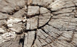 领导干部自然资源资产离任审计今年将全面推开