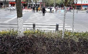 遂寧回應“人行橫道直通綠化帶”：改造未完工，將清除標線