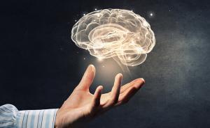 中國腦計劃有望今年起步，腦發(fā)育研究有別于他國同類計劃