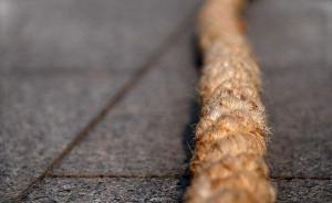 人民日?qǐng)?bào)：斬?cái)嘈Ｍ馀嘤?xùn)機(jī)構(gòu)與中小學(xué)校招生的關(guān)聯(lián)