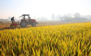 臺盟中央提案建議盡快制定全國性規范農村土地流轉的指導意見