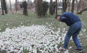 西安鄠邑近千杯學(xué)生營(yíng)養(yǎng)餐被棄荒野，配送企業(yè)：系過(guò)剩產(chǎn)品