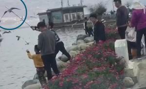 大理森林公安：洱海邊“棒打”海鷗的男子被罰款1500元