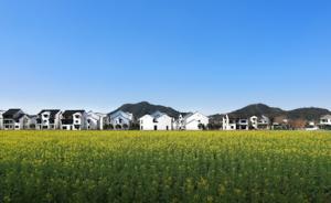 艺术与乡土建设⑥｜大竹园村：隐建筑师情怀，建可推广的农房