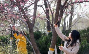 中央气象台：中东部地区气温将稳步回升，江南重回20℃