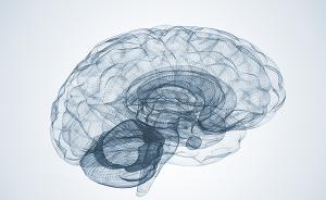 中外学者在《自然》发文：成年人脑海马区没有新生神经元产生