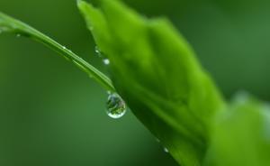 全国气温踏上回暖征程：多地周末有望入春，昼夜温差逐渐增大