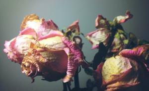 一中國籍女子在日本家中遇害：丈夫被捕，生前曾就家暴咨詢