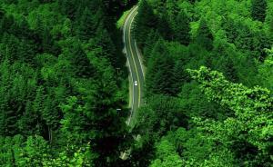 全国绿化委员会：2017年全国共完成造林736.2万公顷