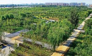 北京將于今春啟動新一輪百萬畝造林綠化工程