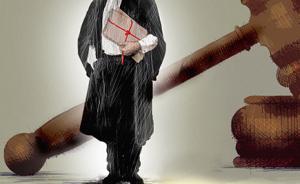法蒂瑪代表：讓律師參與涉法涉訴信訪案件能有效化解矛盾