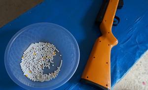 兩高發(fā)布槍支認(rèn)定新意見：追究刑責(zé)應(yīng)考慮致傷力大小等因素