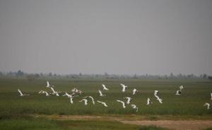 環(huán)保部長(zhǎng)李干杰答記者問(wèn)：旗幟鮮明地把“綠盾”行動(dòng)堅(jiān)持到底