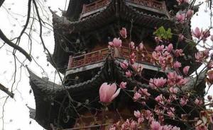 這里有一份具有歷史感的上海清明出游名單