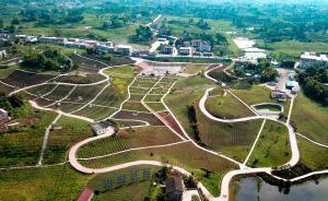 脱贫攻坚抓关键