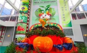 這個地方承包了上海人菜籃子的一半