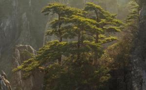 天津警备区副政委周旭民逝世，享年94岁