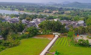 海南新規(guī)：農(nóng)村新建住房不得超過(guò)三層，高度不超過(guò)12米 