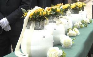 沈陽：近37萬盒樹葬骨灰“入土成林”