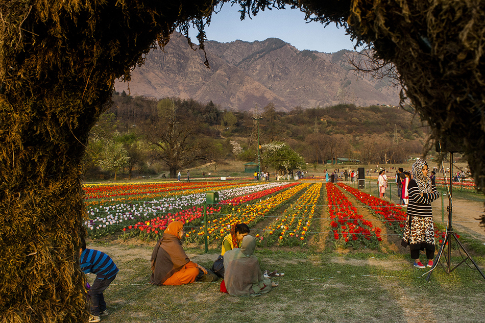 微信圖片_20180405090723