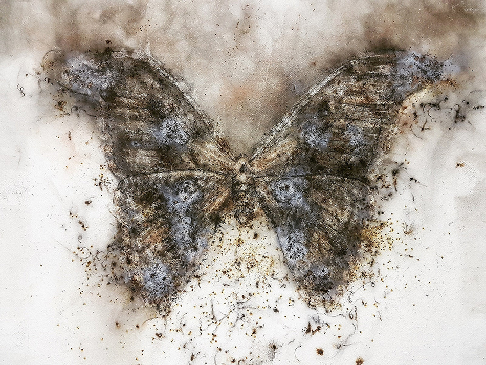 微信圖片_20180405090833