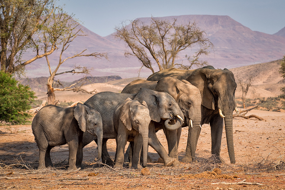 微信圖片_20180405090842